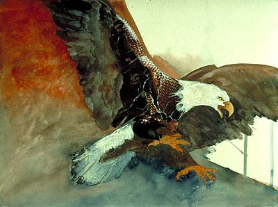 attacking eagle in watercolor and paper collage