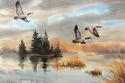 Pine Island Flight original watercolor painting of Canada Geese by Nita Leland